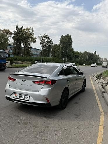 sonata 2003: Hyundai Sonata: 2019 г., 2 л, Автомат, Газ, Седан — 4