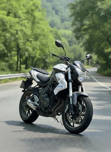 купить бу электромотоцикл: Классический мотоцикл Stels, 600 куб. см, Бензин, Взрослый, Б/у — 1