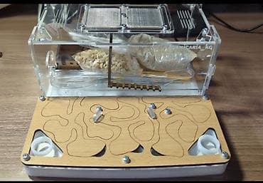 Аквариумы: Формкарий (ферма для муравьёв) модульного типа - Прозрачный акриловый — 1