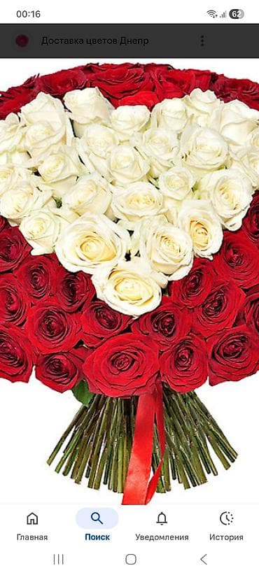 Услуги посудомойщицы или кух работницы .в городе кант at lalafo.kg Услуги посудомойщицы или кух работницы .в городе кант