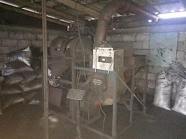 арпа тук: Продаю чистые семена люцерны пропущенные через аппарат пектус и — 4