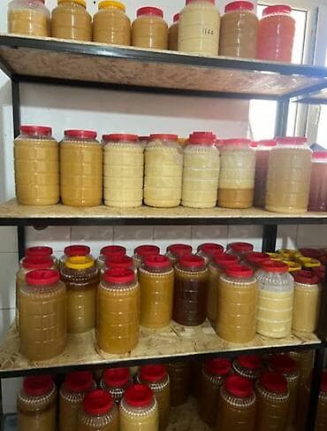 алла тоо: Мед 🍯 чистый токтогул — 1