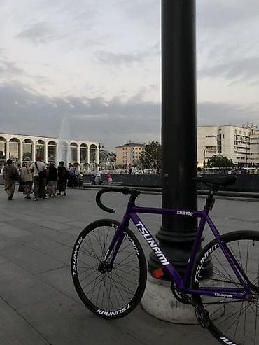 fixed gear: Шоссейный велосипед, Tsunami — 1