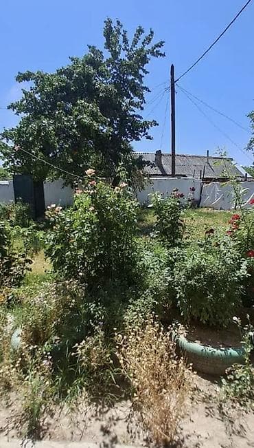 аламидин базар дом куплю: Продаётся частный дом с двором. ние Продается дом Район Аламединский — 3