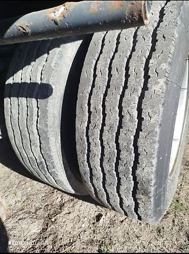 ml 163: Прицеп, Шторный, от 12 т, Новый — 6