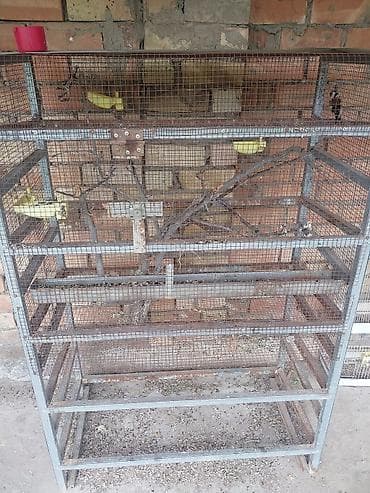 клетка для шиншиллы: Большой вольер/клетка для птиц - Просторная металлическая конструкция — 1