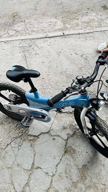 Детские велосипеды: Детский велосипед, 2-колесный, 4 - 6 лет — 2