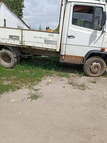 Унаа: Mercedes-Benz : 1992 г., 4 л, Кол менен иштөөчү, Дизель — 5