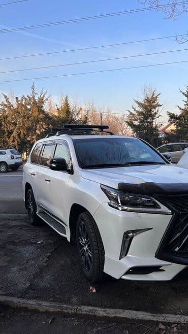 automixkg: Лыжалар жана сноуборддор үчүн бекитме Туурасынан кеткен жааларга