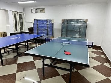 Спорт и хобби: Профессиональный стол для настольного тенниса Everlast - Игровое — 1