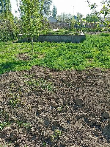 участок жер: 4 соток, Курулуш — 5