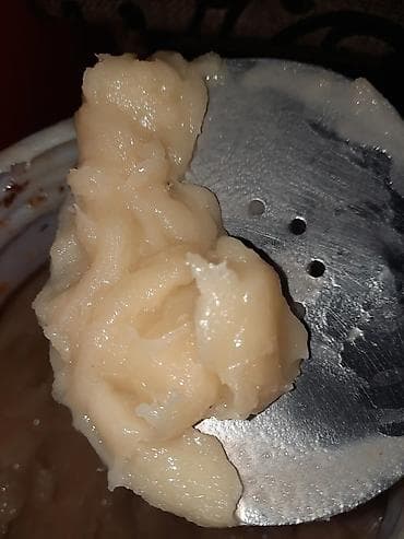 тай казан бишкек: Продаю пчел зимовалые порода карника бакфаст, матки все 2025года — 2