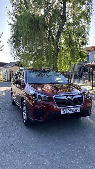Продажа авто: Subaru Forester: 2020 г., 2.5 л, Вариатор, Бензин, Кроссовер — 6