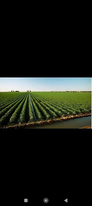 аренда фермы: Для сельского хозяйства — 1