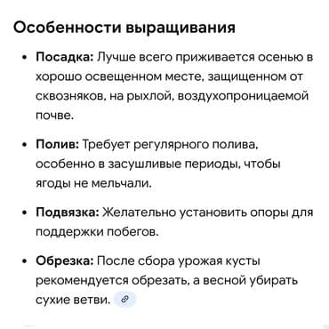 продаю кукурузы: 🔥 Саженцы малины “Таганка” — крупная, сладкая, ароматная! Кусты — 3