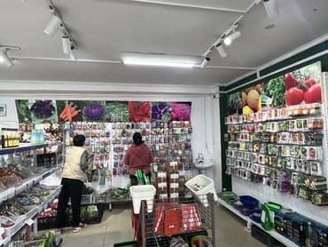 картофель семена: Уруктар жашылчалардын: Сабиз, Бадыраңдар, Капуста, Өзү алып кетүү, Акылуу жеткирүү — 12
