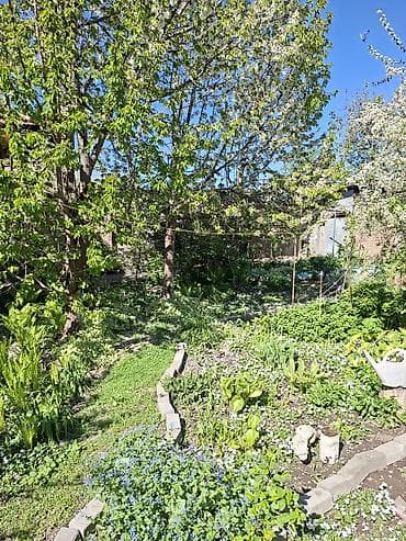 дом обшага: 🏡 Дом, где начинается ваше новое счастье… Просторный и уютный дом — 6