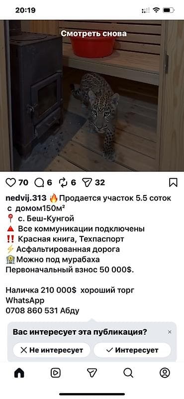 комната гостинка: 20 м², С мебелью — 5