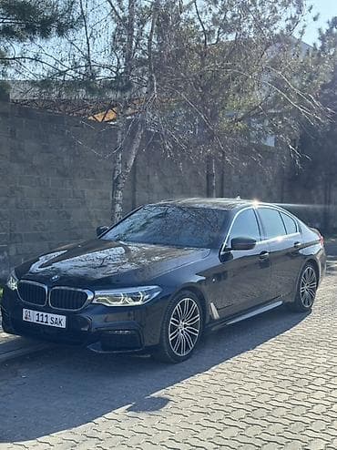 BMW 530: 2019 г., 2 л, Автомат, Бензин, Седан