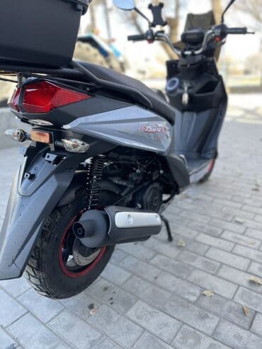 сколько стоит скутер самурай: Тип скутера 150 куб. см, Бензин, Новый — 10