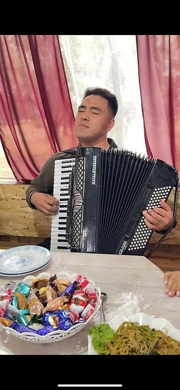 Арзан аккордеон! Royal Standard “Montafana” - Тип: профессиональный