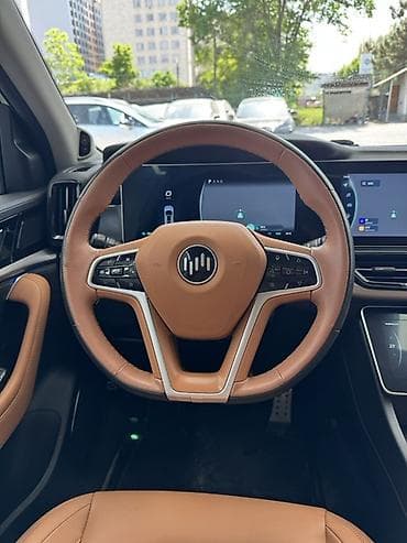 Weltmeister: Weltmeister W6, 2021 г., 18000 км, Передний — 9