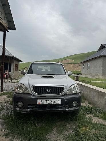 Hyundai Terracan: 2003 г., 2.9 л, Кол менен иштөөчү, Дизель, Жол тандабас — 1