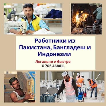 пакистан: Работники из зарубежа! Официально и легально подберём для вашего — 2