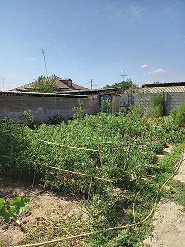 бу теплица: Продаётся дом с участком и плодоносящим огородом. Описание дома: - — 2