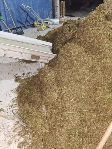 сухой корм для кошек оптом: Продаю сенаж отличного качества с чистой подвяленной люцерны, росыпью — 6