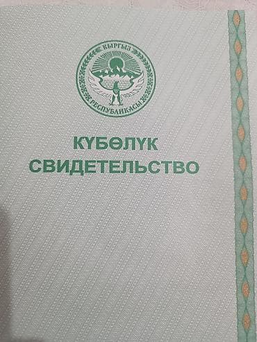 алтын ордо ж м: Кызыл китеп — 1