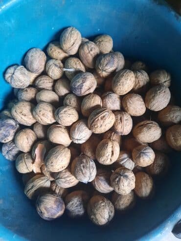 Продаю орехи этого года крупные. цена 120сом за килограмм в