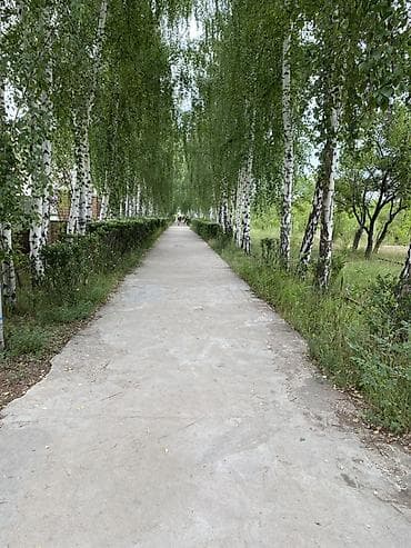 2 комнатая квартира: Квартира в ухоженной закрытой территорией. - Дом 3–4 этажа — 3