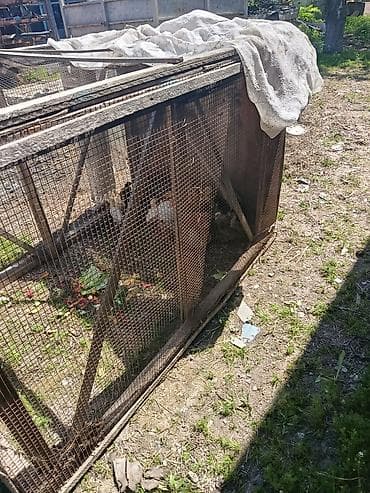 сетка для несушки: Клетка для цепят размер высота 1-метр, ширина 1-метр,, длина 1,6- — 4