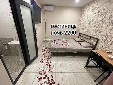 1 комната, Душевая кабина, Кондиционер, Домофон