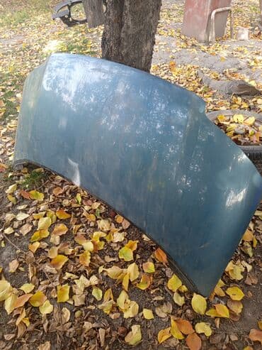 Капот Volkswagen, Б/у, Оригинал