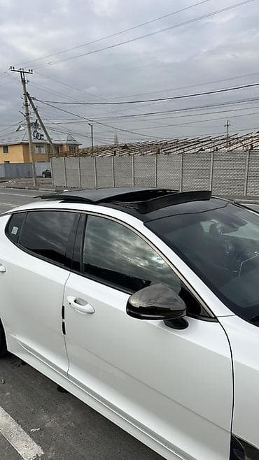 наклейки на авто: Kia Stinger: 2018 г., Бензин, Фастбек — 4