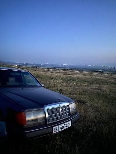 Mercedes-Benz W124: 1992 г., 2.3 л, Механика, Газ, Седан