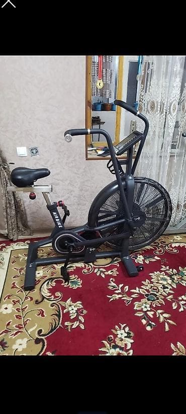 электо мото: Аэробайк (air bike) с вентиляторным сопротивлением - Тип — 1