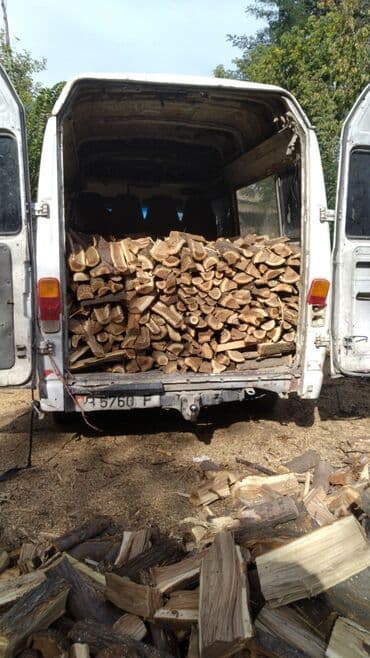 продать дрова оптом: Дрова — 1