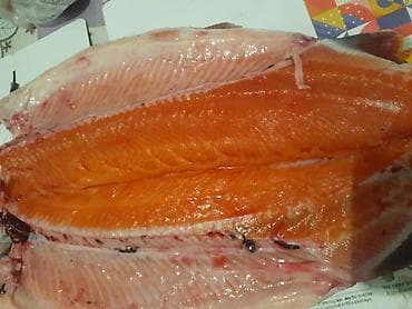 туша барана: ОшПродается форель. От 2 до 3 кг. Около 3 тонны. Чон кемин — 1