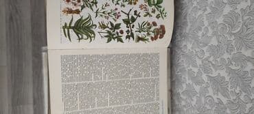 книга привет сосед: Другие книги и журналы — 2