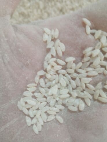 шпатлевка бишкек: АК гуруч.аланга оптумга сатылат — 1