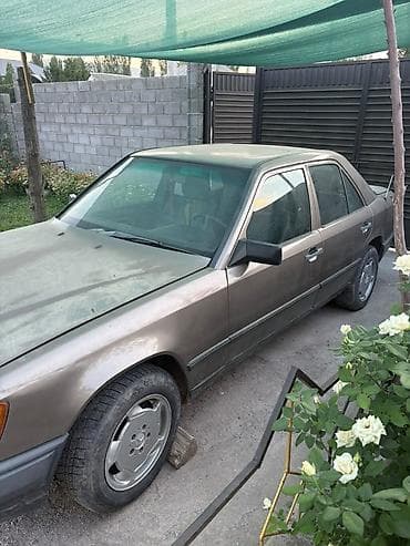 w124 дерево: Mercedes-Benz W124: 1990 г., Седан — 4