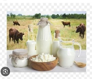 Натуральные молочные продукты от коров на вольном выпасе. Состав