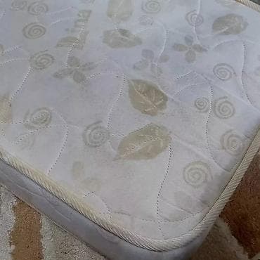 халадильник буу: Чаң соргуч, Karcher, Жуучу, Нымдуу, Буу, Контейнер, Циклондук чыпка — 10