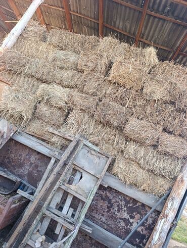 ош мышык: Сено в тюках - Прямоугольные тюки, перевязаны шпагатом/проволокой — 2