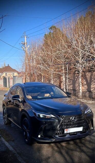 срочно продаю в связи с переездом: Lexus NX: 2023 г., 2.5 л, Автомат, Гибрид, Кроссовер — 5