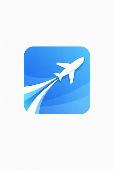 Ищу торговую точку для открытия авиакассы на базаре в городе Манас