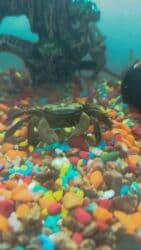 стоимость 1 грамм серебра в бишкеке: Аквариумы — 3